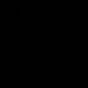 Meet your Posher, Karli